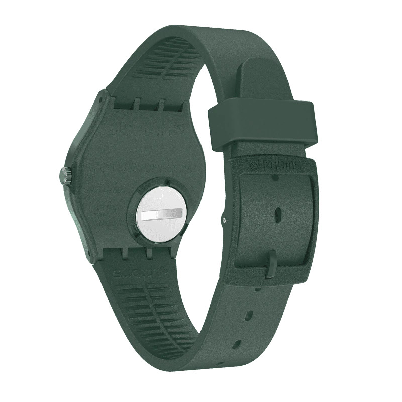 Swatch-Ashbaya-GG407